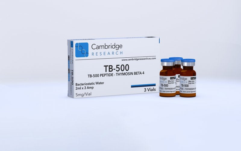 T . B 5 0 0