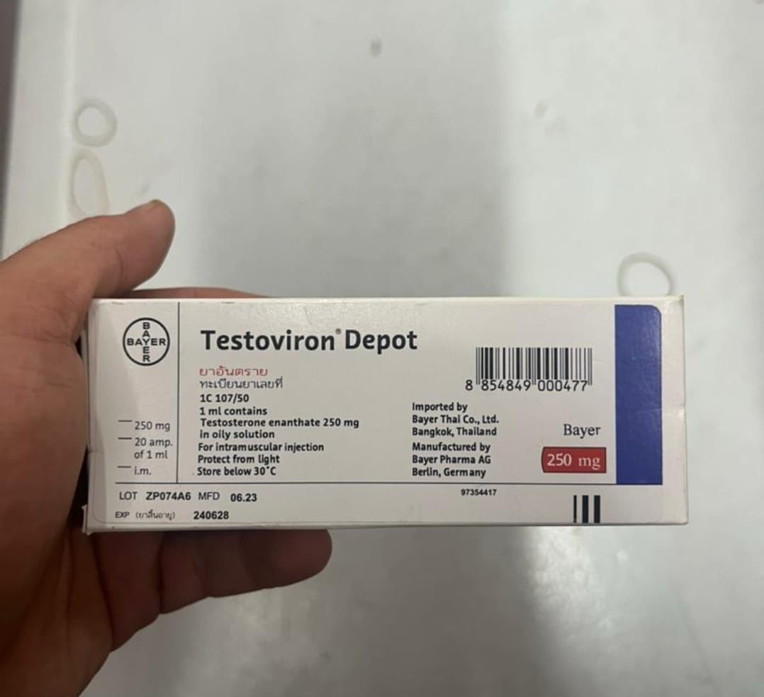 Testoviron Depot [Testosterone Enanthate 250mg] – 20 Amps – Bayer Schering